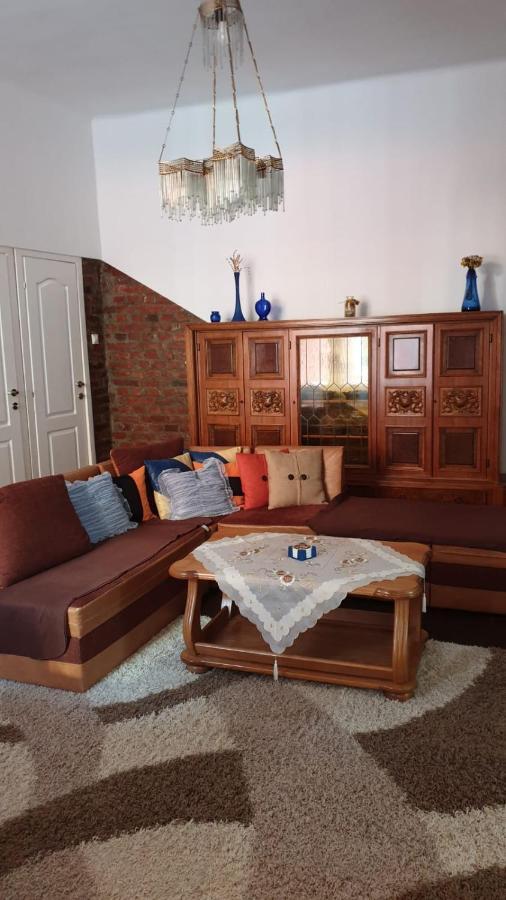 Apartament Casa Victoria Târgu-Mureş Zewnętrze zdjęcie