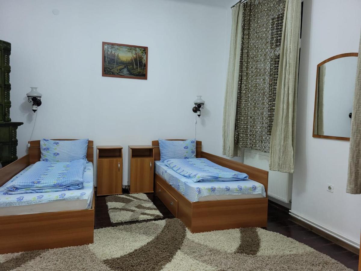 Apartament Casa Victoria Târgu-Mureş Zewnętrze zdjęcie