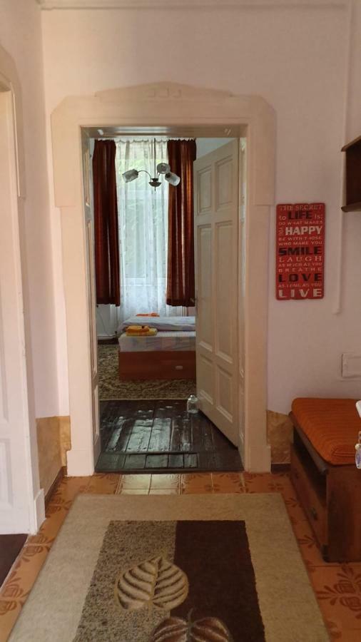 Apartament Casa Victoria Târgu-Mureş Zewnętrze zdjęcie
