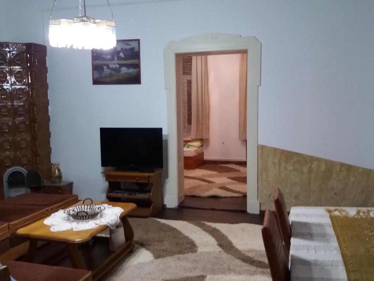 Apartament Casa Victoria Târgu-Mureş Zewnętrze zdjęcie